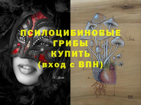 винт Протвино