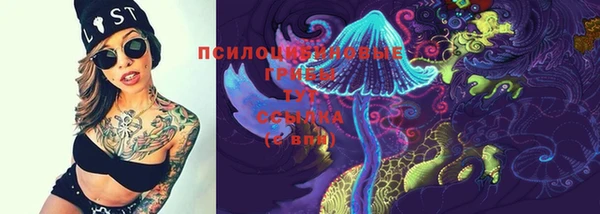 винт Протвино
