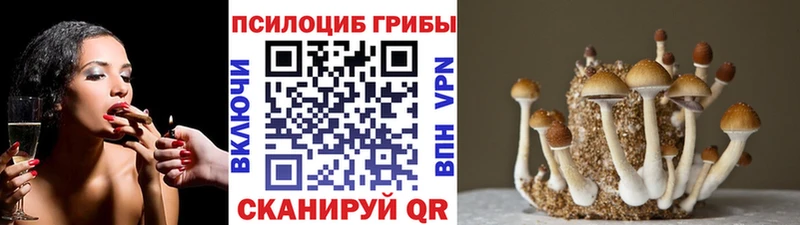 Галлюциногенные грибы Cubensis  Светлоград 
